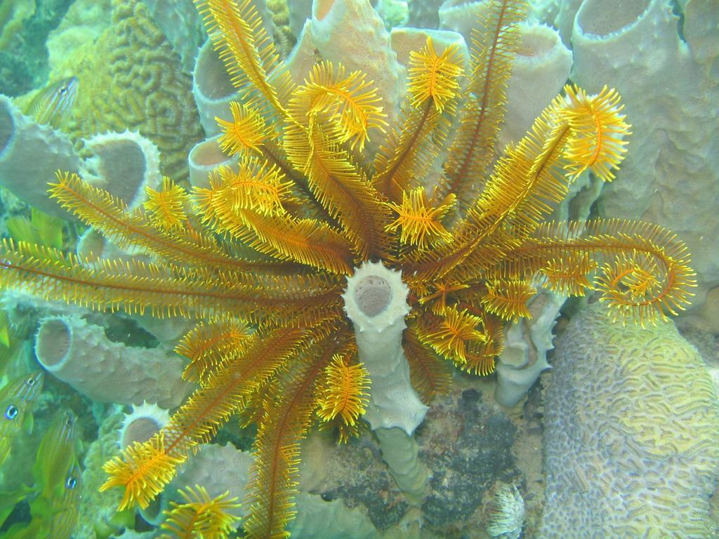 Sunset Bay Club & Seaside Dive Resort Salisbury Luaran gambar