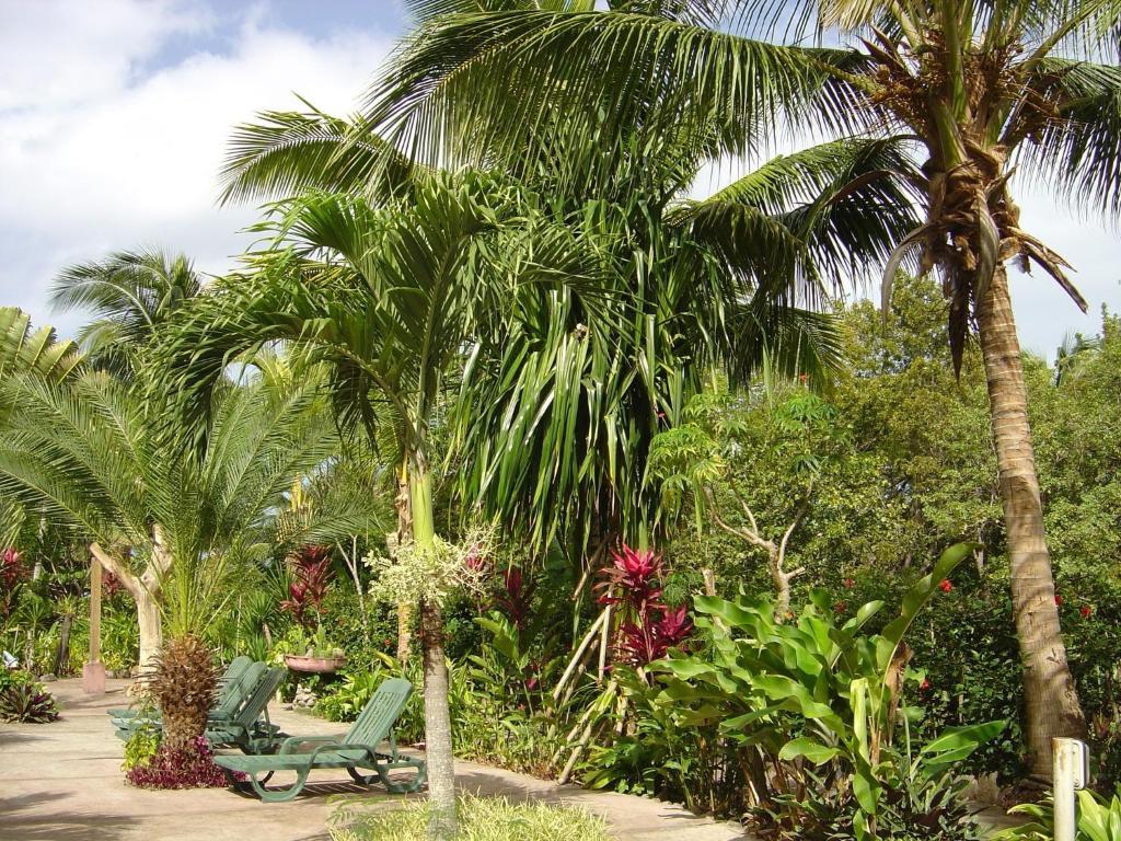 Sunset Bay Club & Seaside Dive Resort Salisbury Luaran gambar